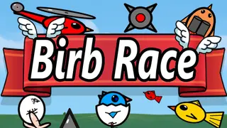 Birb Race