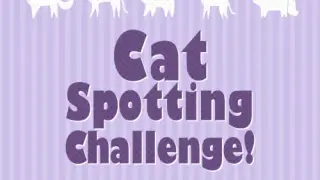 Cat Spotting Challenge! - Switch