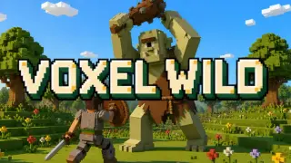 Voxel Wild