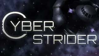 Cyber Strider