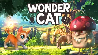 Wonder Cat