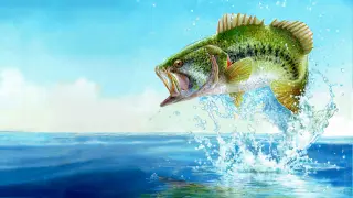 Fishing Sim World: Bass Pro Shops - PS4