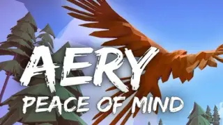 Aery - Peace of Mind - Switch