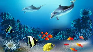 Fish Tank - Xbox One