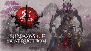 Shadows of Destruction