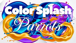 Color Splash: Parrots