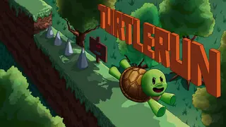 TurtleRun