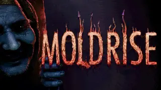 MOLDRISE