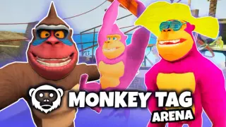 Monkey Tag Arena