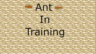 Ant in Training