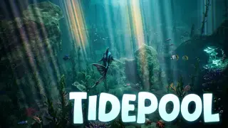 Tidepool