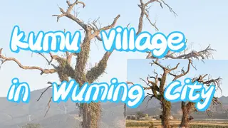 Kumu Village in Wuming City