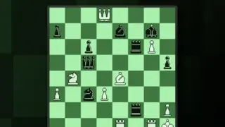 BOT.vinnik Chess - Switch
