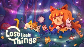 Lost Little Things