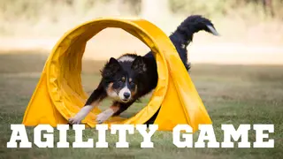 Agility Game