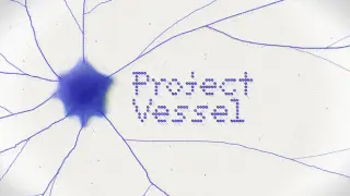 Project Vessel