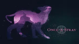 Once A Stray