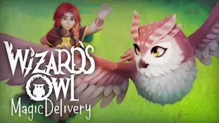 Wizards Owl: Magic Delivery