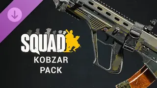 Squad Weapon Skins - Kobzar Pack