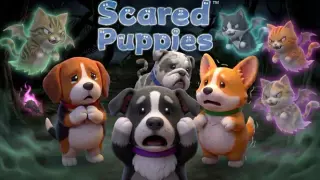 Scared Puppies