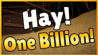 Hay! One Billion!