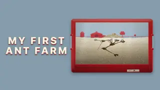 My First Ant Farm