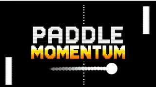Paddle Momentum