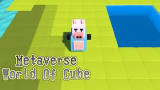 Metaverse-World Of Cube