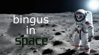 Bingus In Space