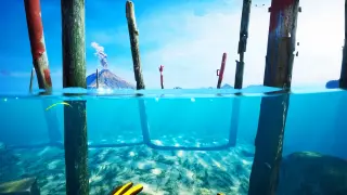 Subside - Makoa Shelf - PS5