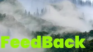 FeedBack