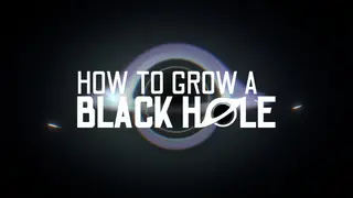 How To Grow a Black Hole