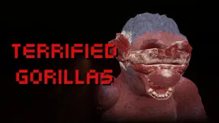 Terrified Gorillas