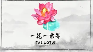 一花一世界 | The Lotus