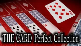 THE CARD Perfect Collection - Switch