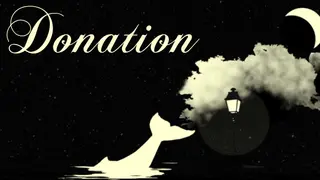 Donation - $14.99