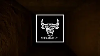 Escape The Labyrinth