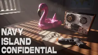 Navy Island Confidential