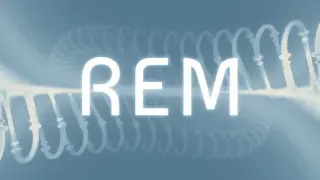 REM