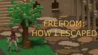 Freedom: How I Escaped