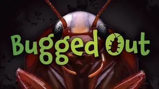 Bugged Out
