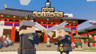 Tiny Knights