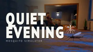 Quiet Evening: Mosquito Simulator
