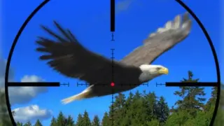 America Wild Hunting - Switch