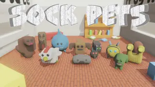 Sock Pets