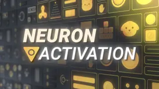 Neuron Activation