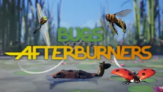 Bugs with Afterburners