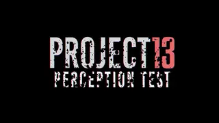 PROJECT 13 Perception Test