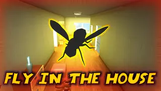 Fly in the House