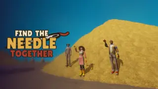 Find The Needle Together